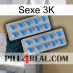 Sex 3K 23